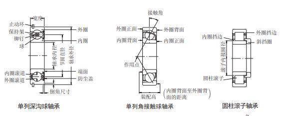 nsk类型图